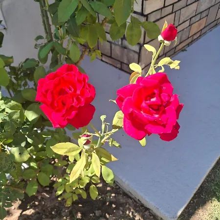 Apartamento Grigoris House Vrasná