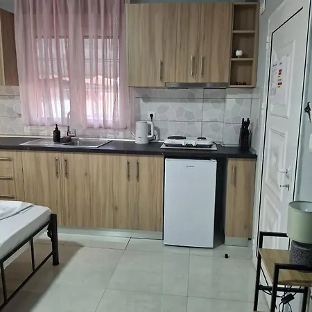 Grigoris House 公寓 *