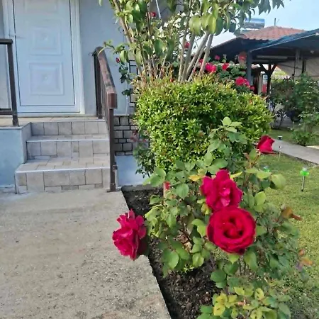 Grigoris House *