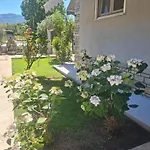 Apartment Grigoris House *