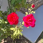 Apartment Grigoris House Nea Vrasna