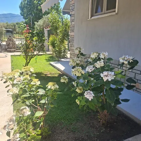 Appartement Grigoris House *