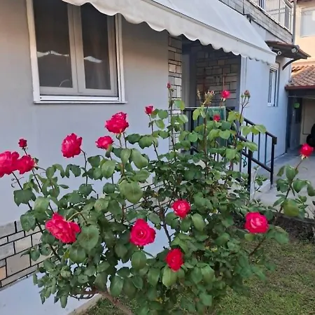 Grigoris House